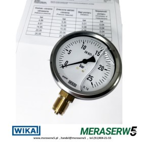 M100R/G 0-25BAR  PCA1